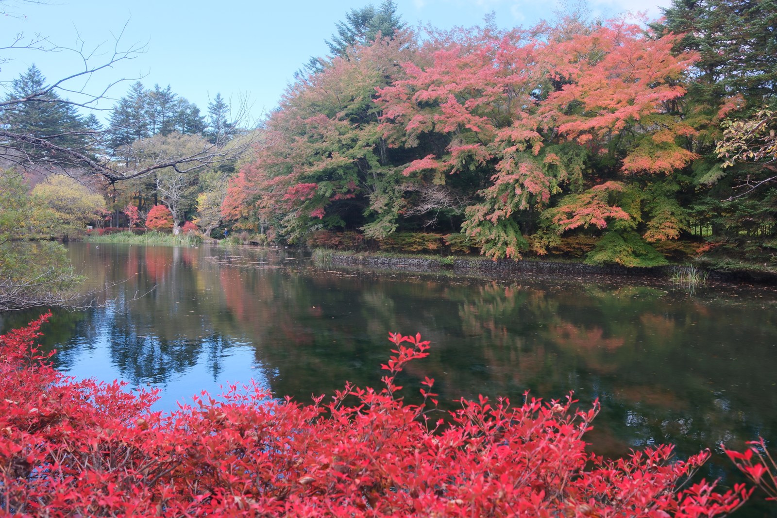 雲場池の水面に映る紅葉と、赤く色づいた枝
