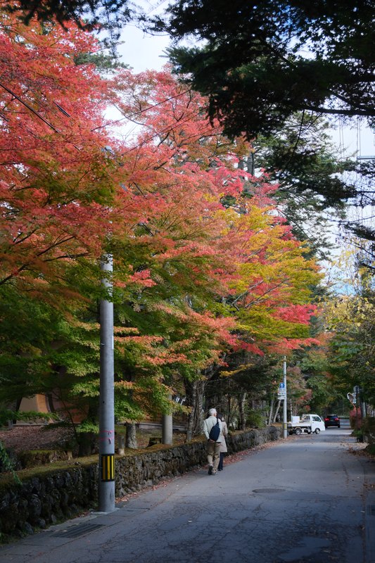 道沿いの石垣と、色づく木々。