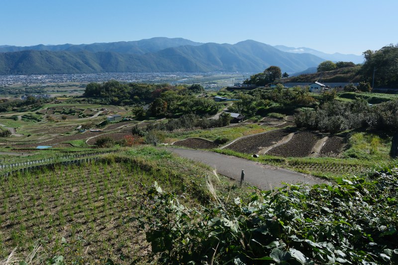 棚田の区画と、その先の市街地。