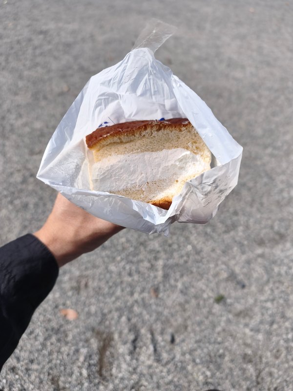 袋からのぞく牛乳パン。